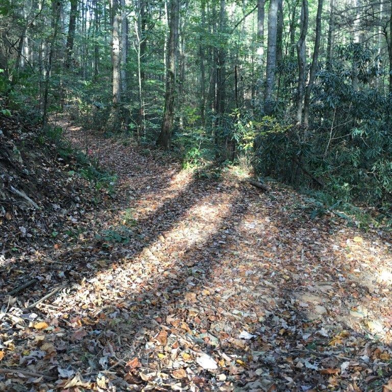 Lot 2 Laurel Overlook Road Ellijay, GA 30540 - Photo 8 of 10