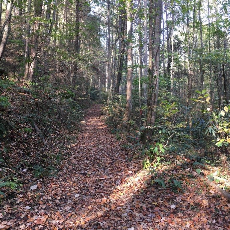 Lot 2 Laurel Overlook Road Ellijay, GA 30540 - Photo 9 of 10