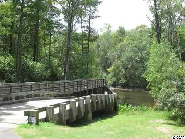 Lot 203 Sprig Lane Murrells Inlet, SC 29576 - Photo 11 of 15 Gallery Image 11