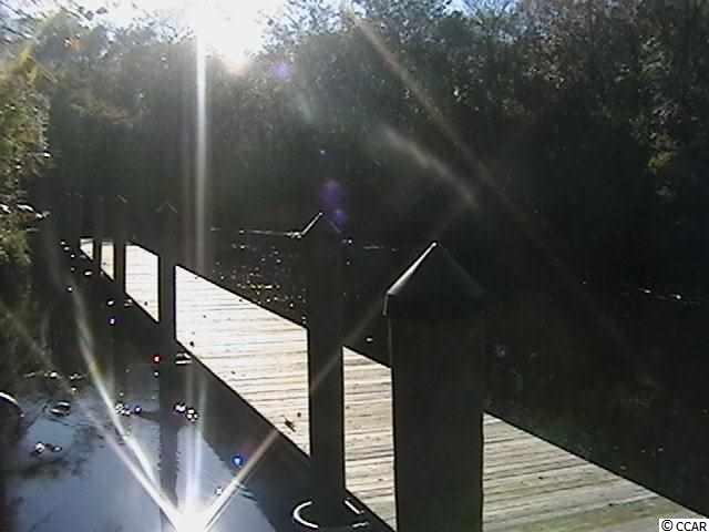 Lot 203 Sprig Lane Murrells Inlet, SC 29576 - Photo 3 of 15 Gallery Image 3