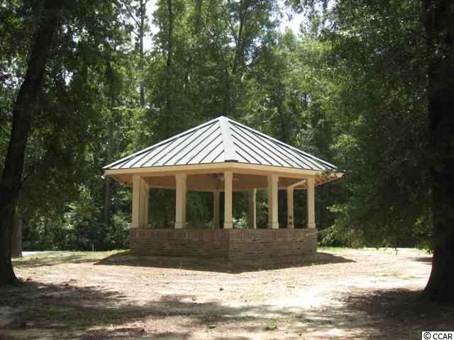 Lot 203 Sprig Lane Murrells Inlet, SC 29576 - Photo 10 of 15 Gallery Image 10