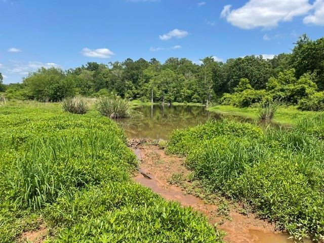 0 Rigolette Road Pineville, LA 71360 - Photo 11 of 16 Gallery Image 11