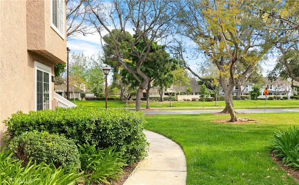 a park with large trees