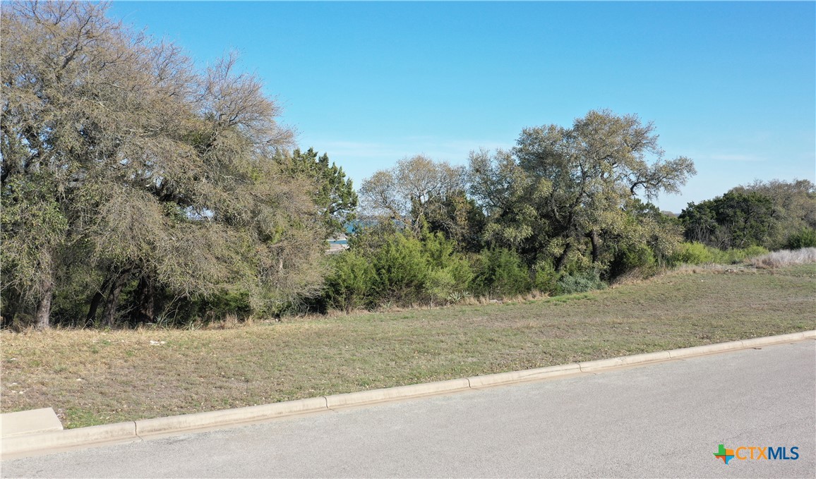 3313 Eagle Ridge Drive Harker Heights, TX 76548 - Photo 5 of 13