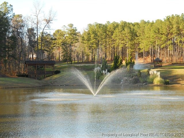 58 Cottswold Lane Spring Lake, NC 28390 - Photo 43 of 47 a view of a yard