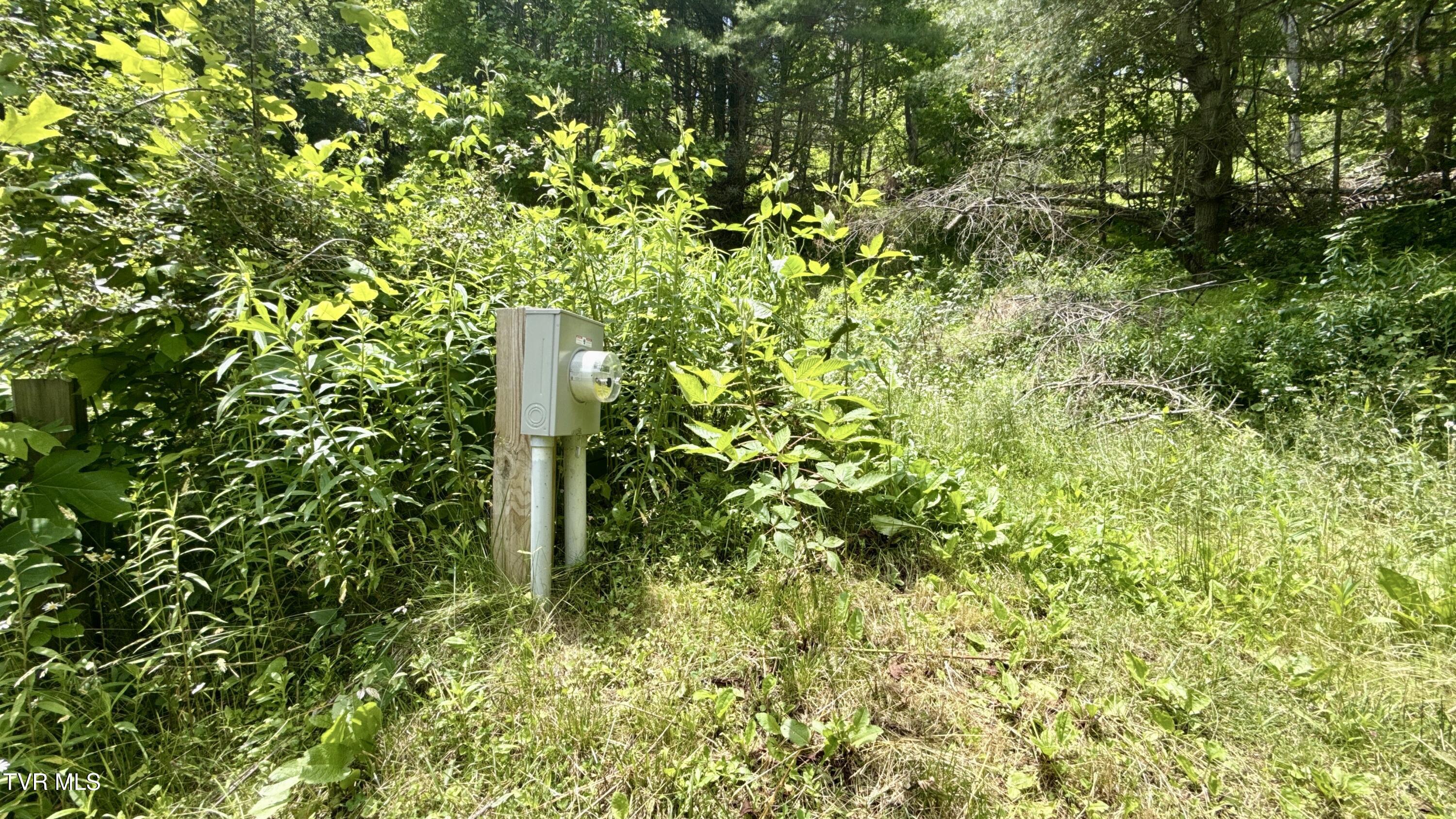 671 Antioch Road Mountain City, TN 37683 - Photo 37 of 41 DTLEE7392