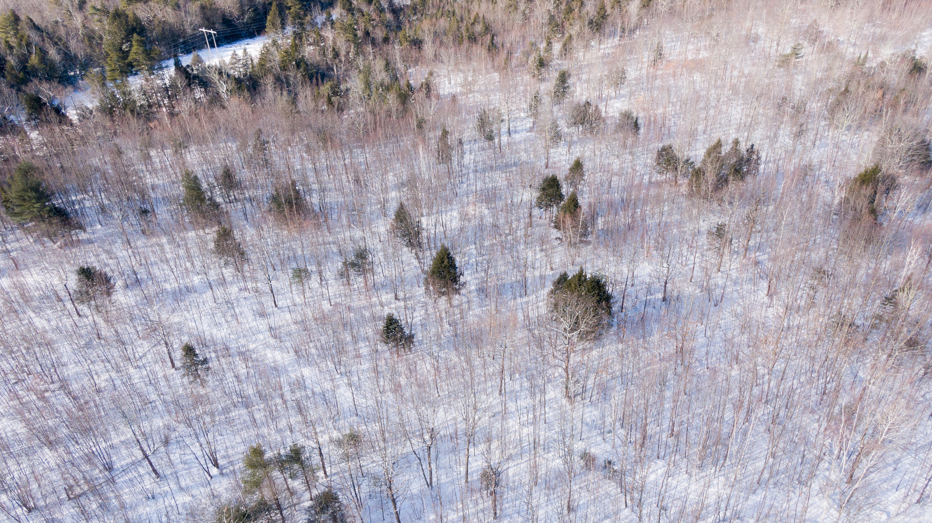 Tbd Targett Road New Gloucester, ME 04260 - Photo 3 of 8 DJI_0361_V1