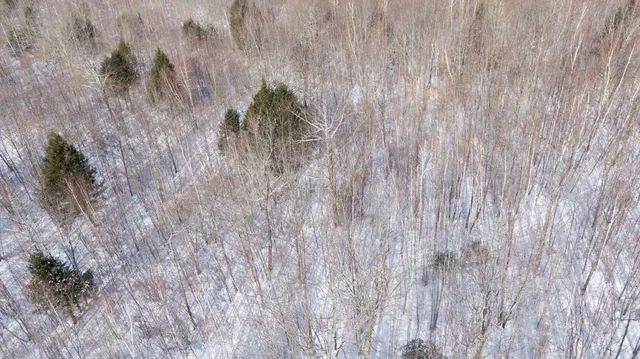 $275,000 | Tbd Targett Road, New Gloucester, ME 04260