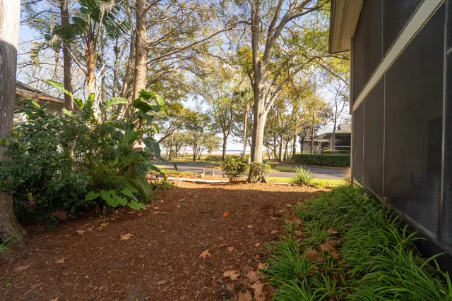 a view of yard with tree s