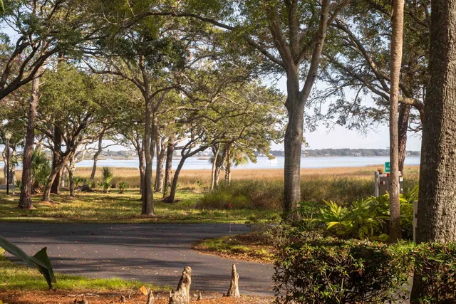 a view of lake with trees