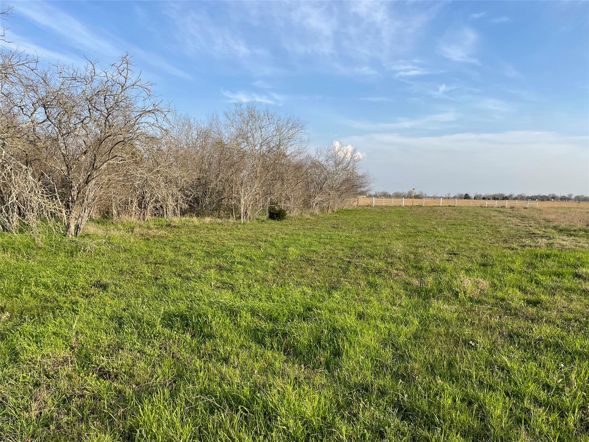 4196 Peters San Felipe Road Sealy, TX 77474 - Photo 5 of 11