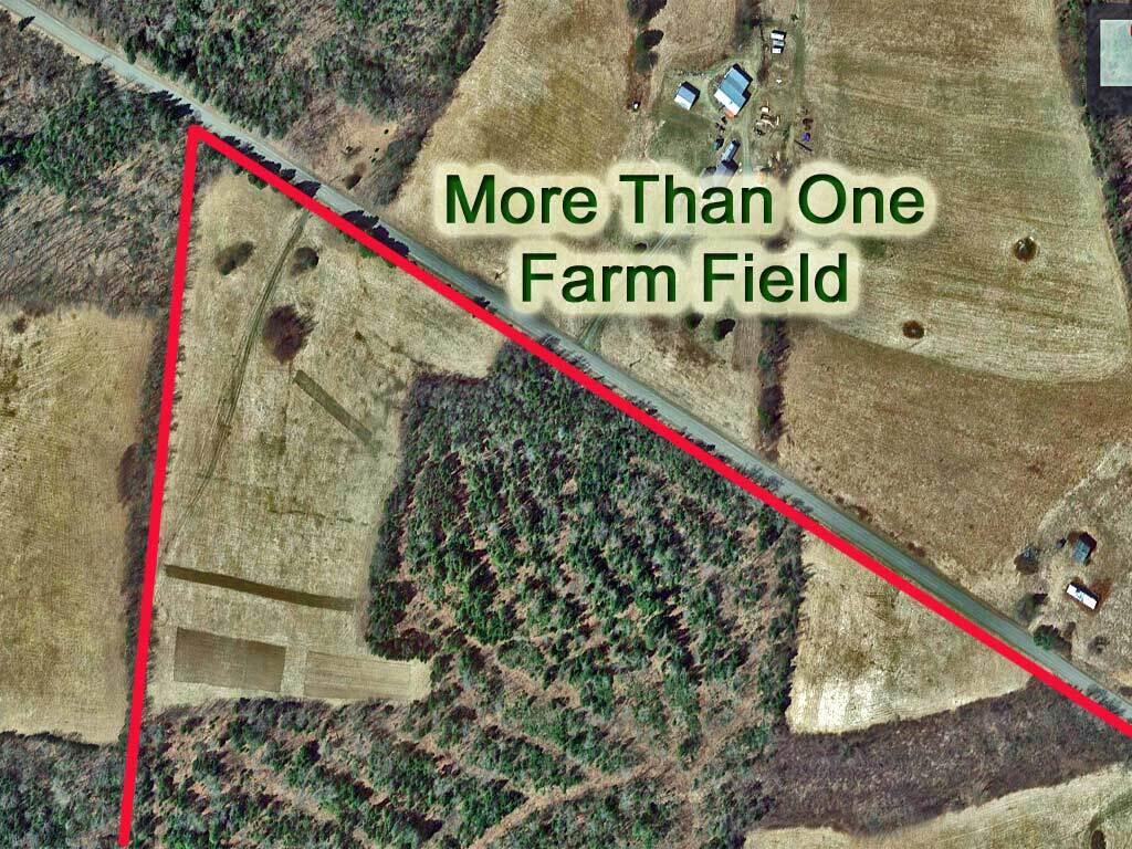 Lot 8 Kelly Road Wytopitlock, ME 04497 - Photo 7 of 23 fields-maine-land-farm-wood