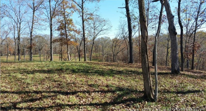 6 Timber Ridge Estate Barnett, MO 65011 - Photo 7 of 15