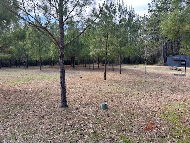 45 Renfroe Road Monticello, MS 39654 - Photo 14 of 18 Photo 14