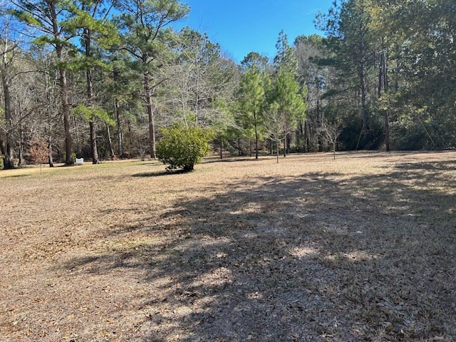 45 Renfroe Road Monticello, MS 39654 - Photo 3 of 18 Photo 3