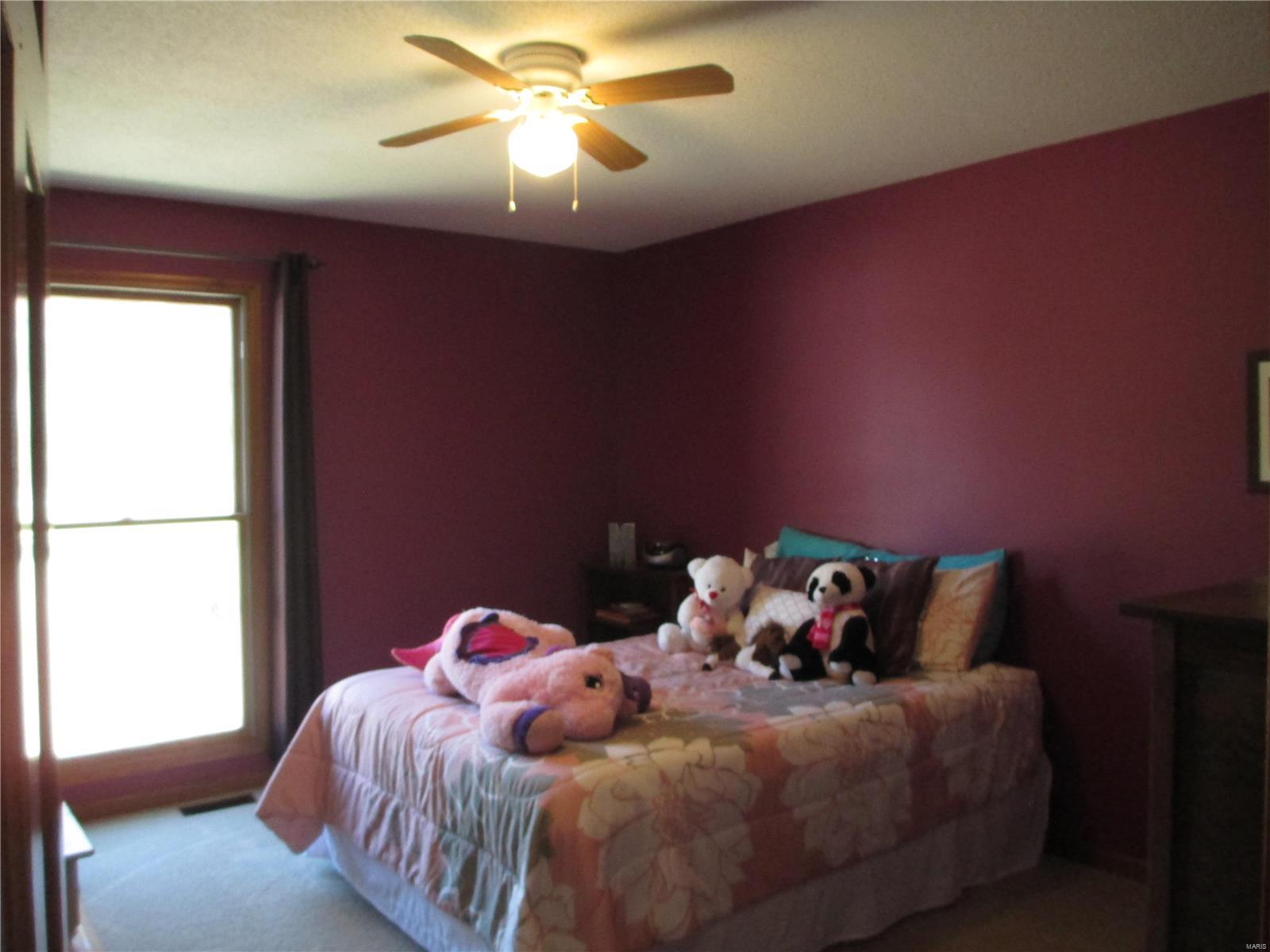 9147 Huette Road Dorsey, IL 62021 - Photo 12 of 28