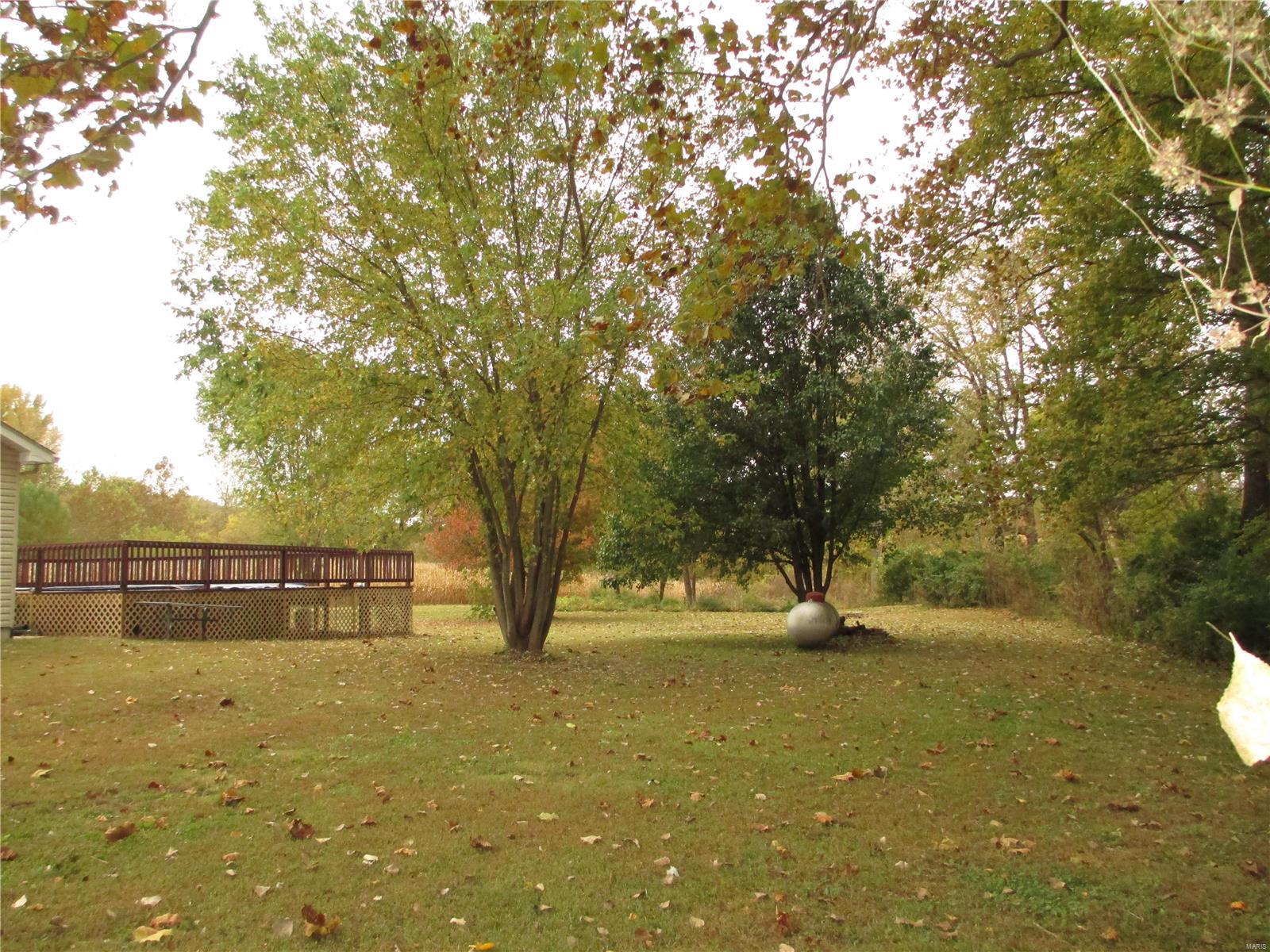 9147 Huette Road Dorsey, IL 62021 - Photo 21 of 28