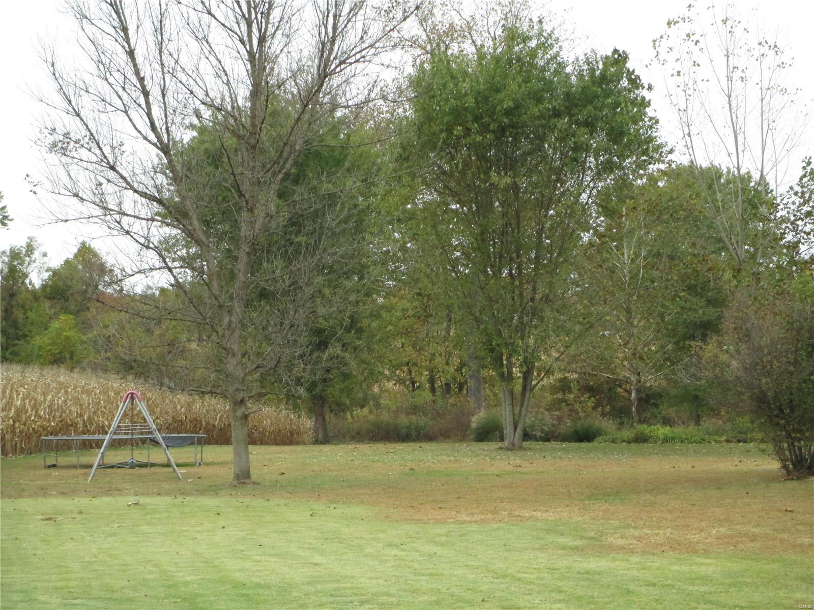 9147 Huette Road Dorsey, IL 62021 - Photo 23 of 28