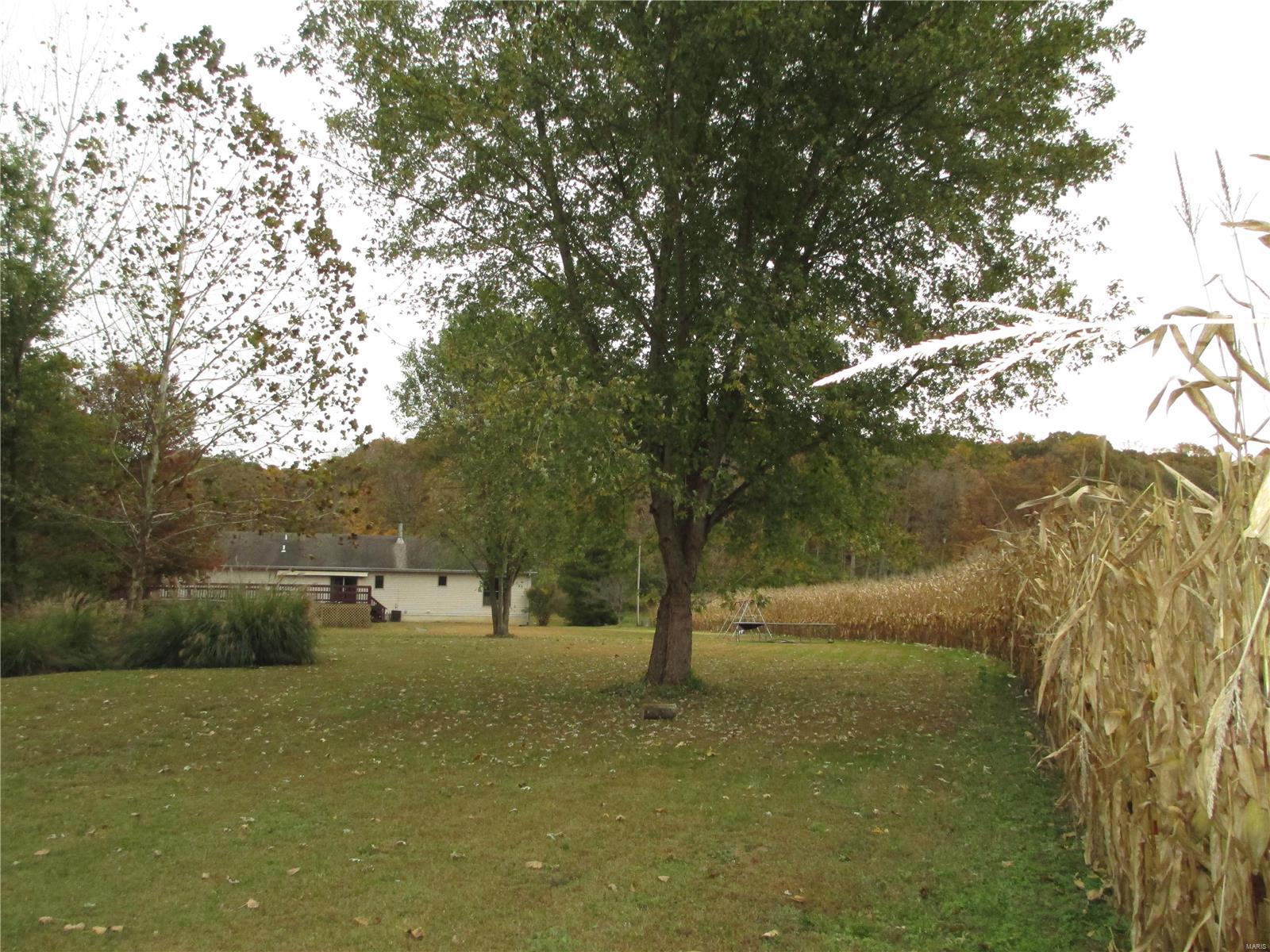 9147 Huette Road Dorsey, IL 62021 - Photo 24 of 28