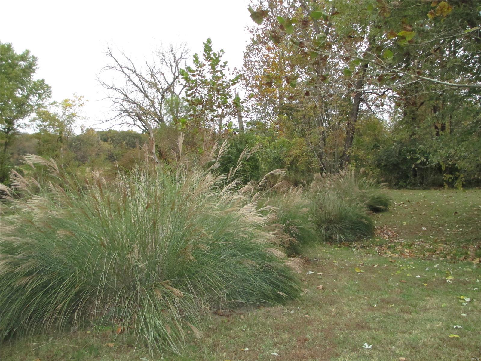 9147 Huette Road Dorsey, IL 62021 - Photo 26 of 28