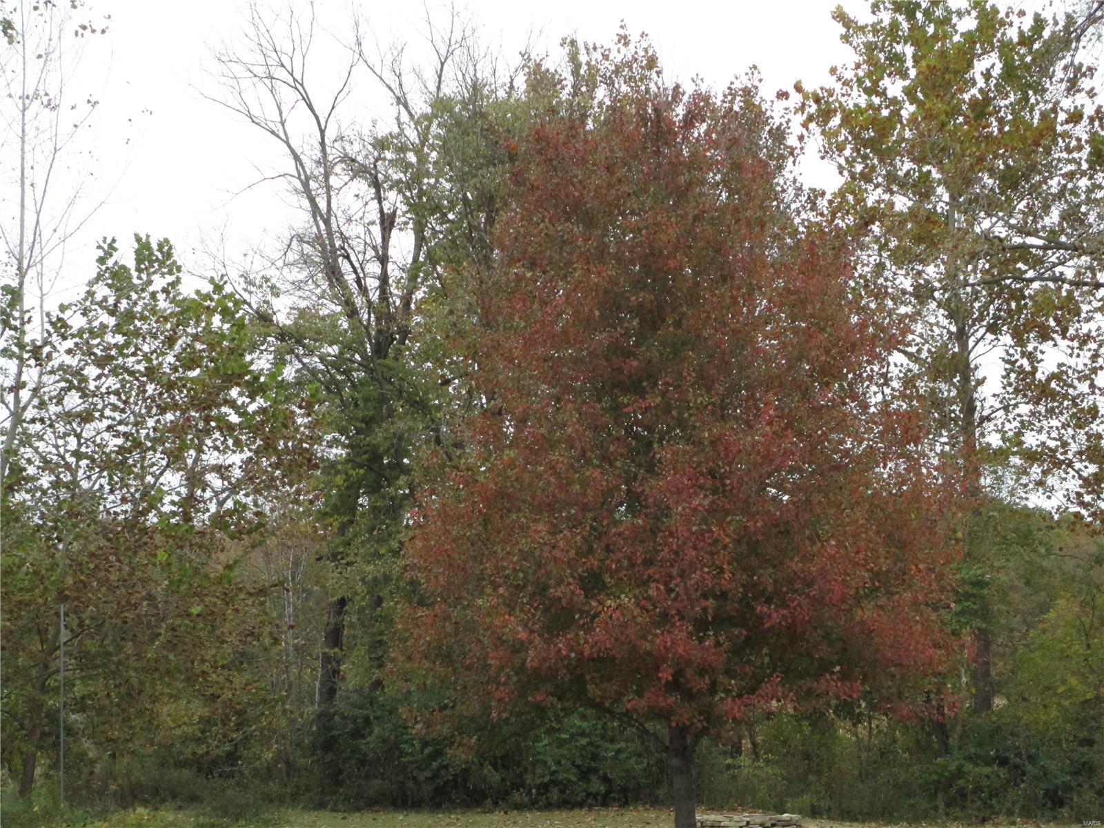 9147 Huette Road Dorsey, IL 62021 - Photo 27 of 28