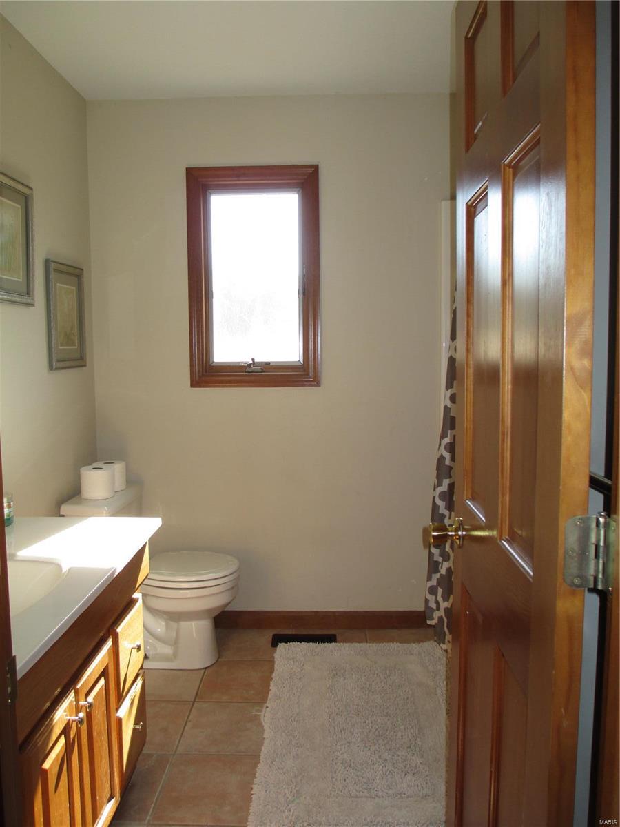 9147 Huette Road Dorsey, IL 62021 - Photo 7 of 28