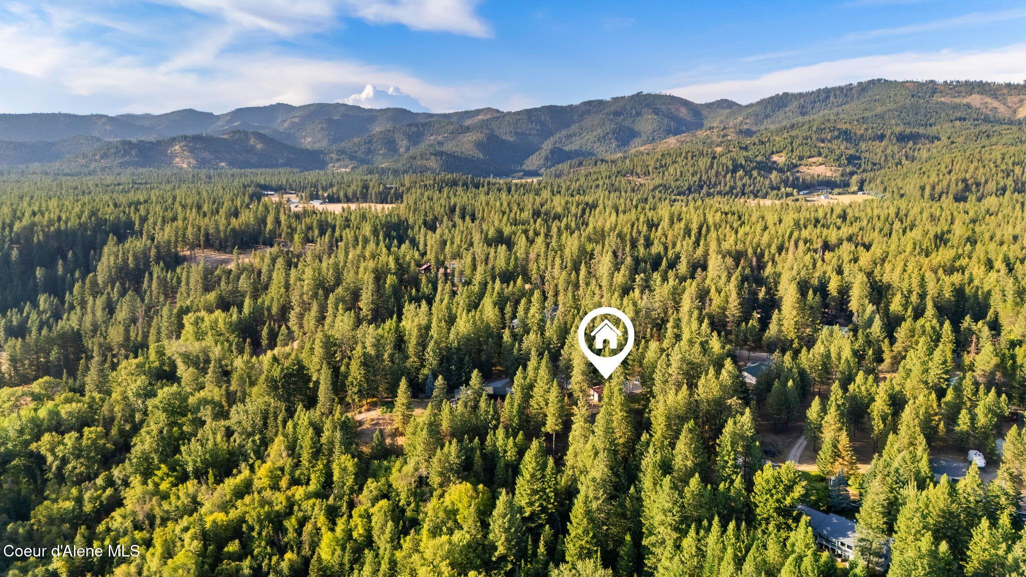 470 Diamond Heights Road Oldtown, ID 83822 - Photo 83 of 101 Beautiful Mountains