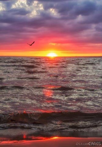 3001 Nys Route Sylvan Beach, NY 13157 - Photo 16 of 21