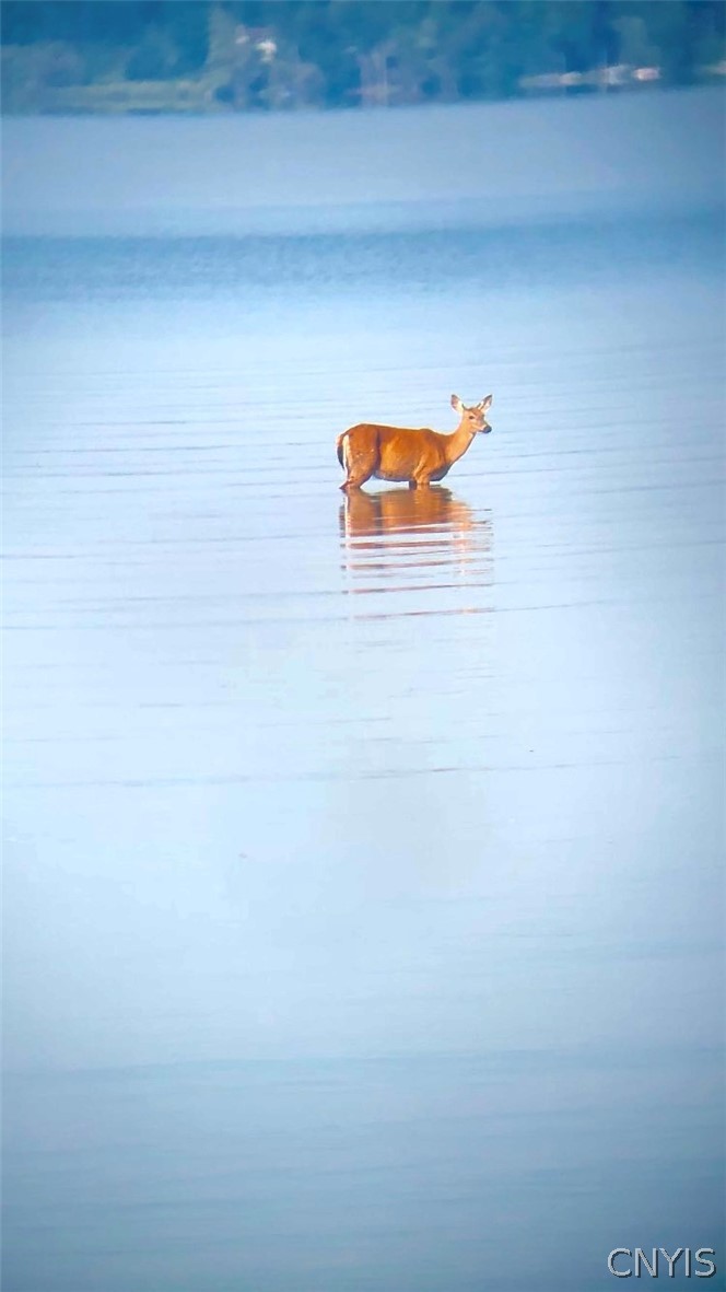 3001 Nys Route Sylvan Beach, NY 13157 - Photo 20 of 21