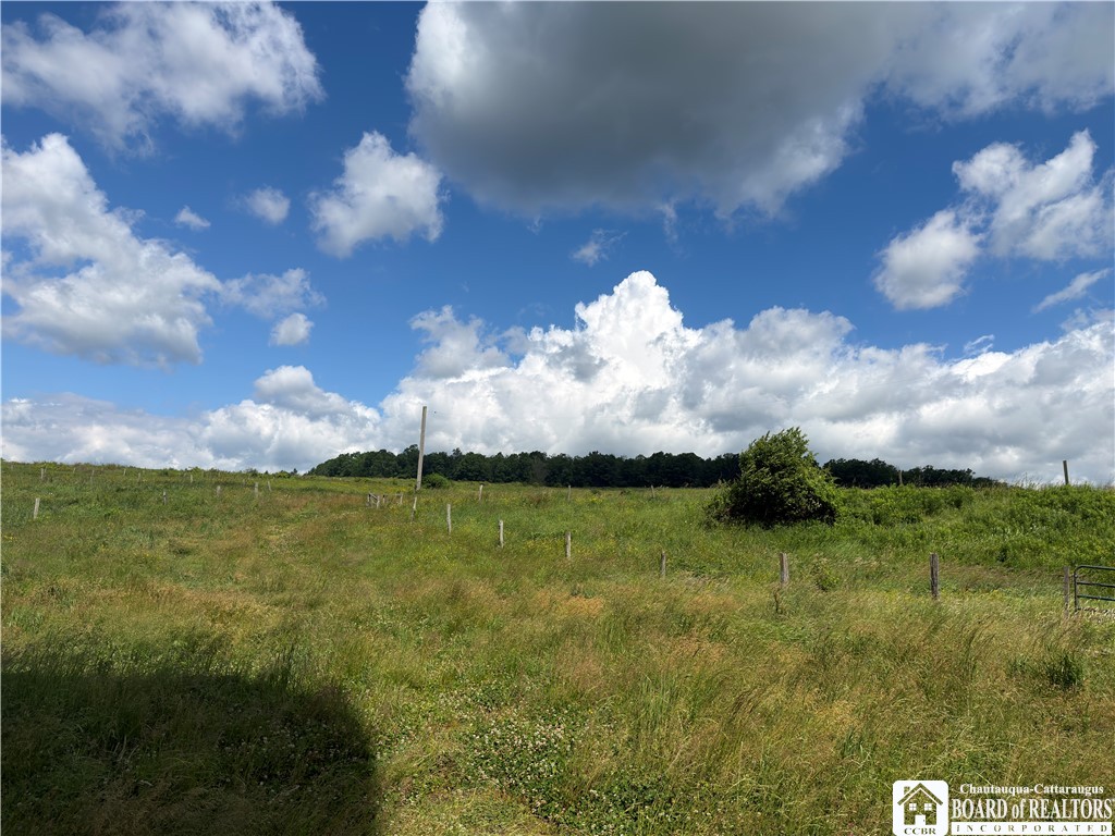 3801 Sprague Hill Road, Unit 3800 Falconer, NY 14733 - Photo 6 of 28