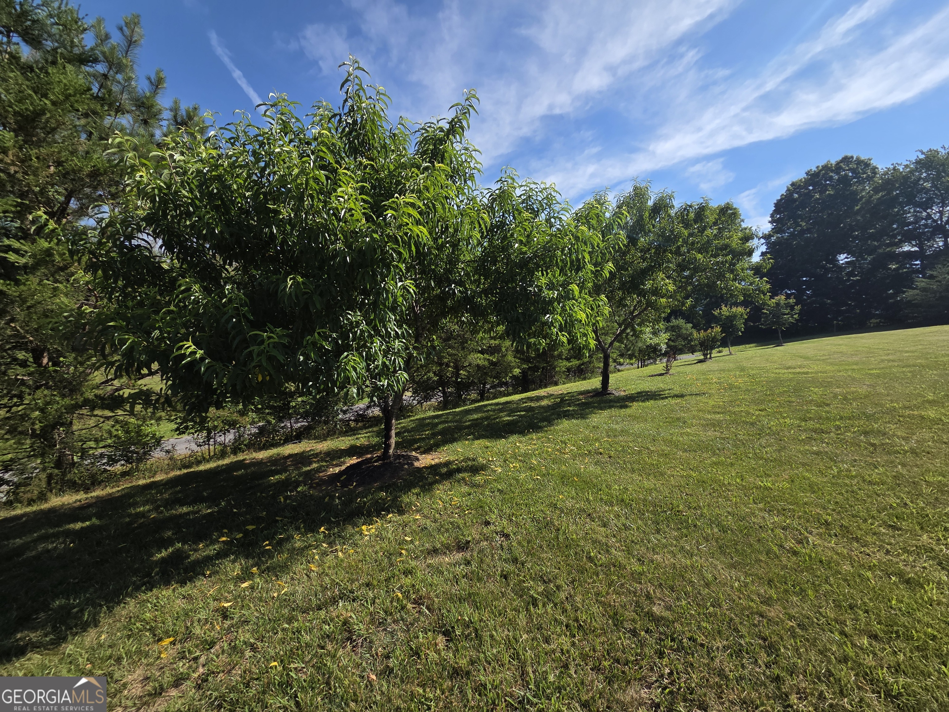 958 New Forest Road Young Harris, GA 30582 - Photo 67 of 70