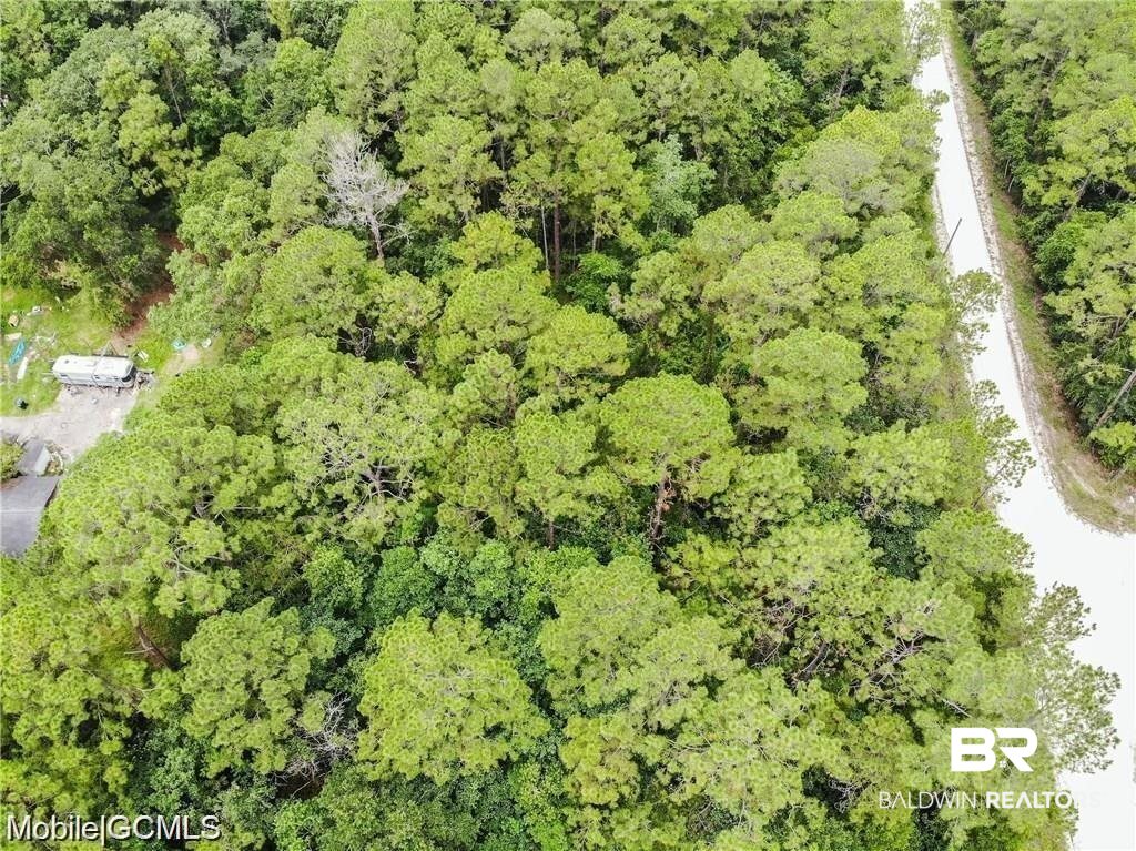 0 Bass Drive Theodore, AL 36582 - Photo 2 of 15