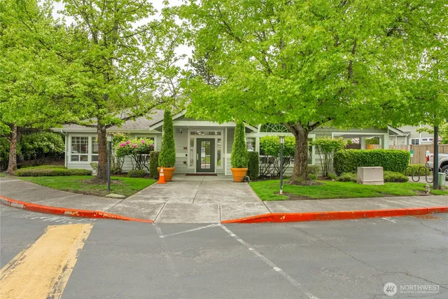 a view of a house with a yard and large tree