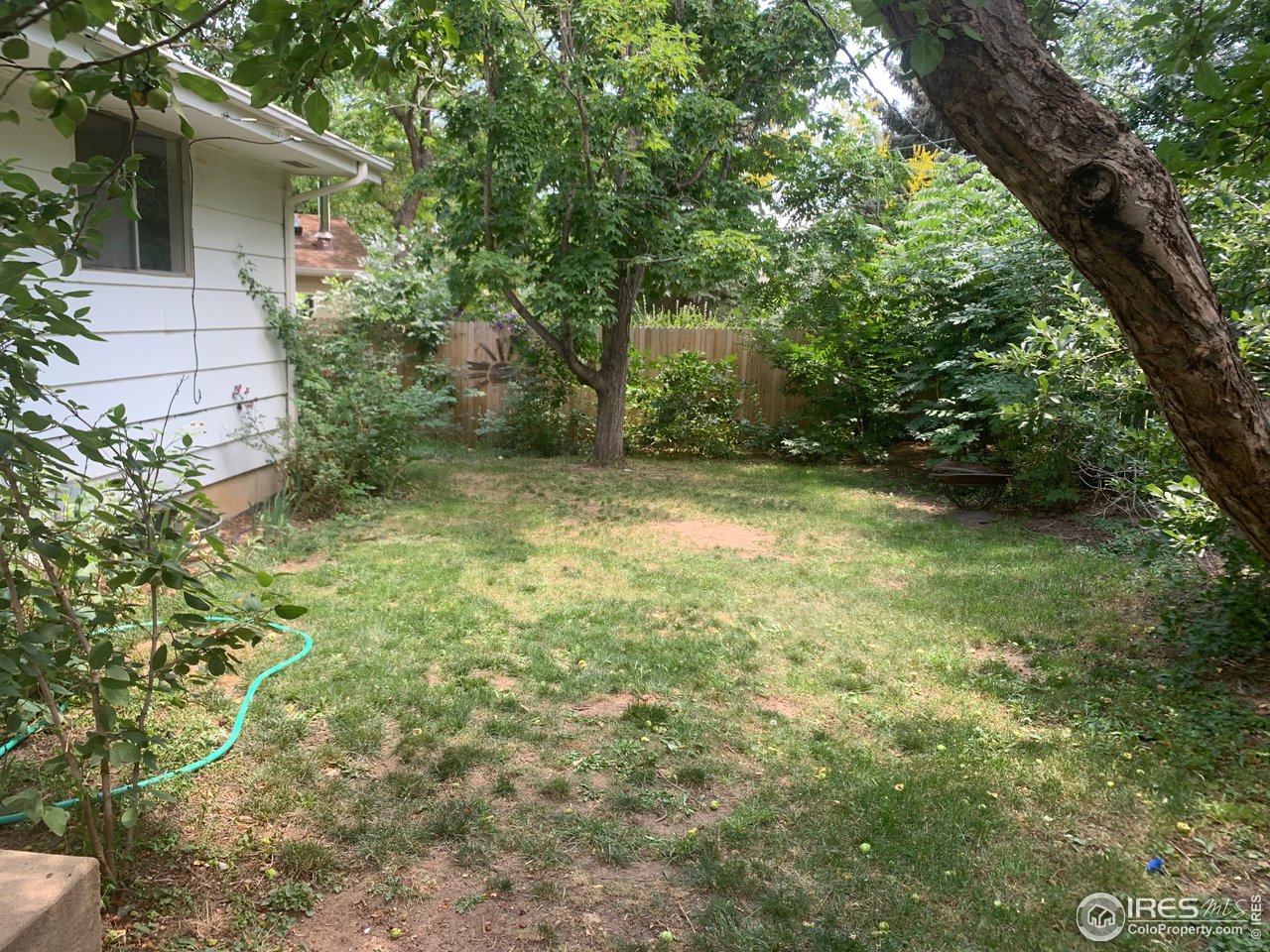 3310 Everett Drive Boulder, CO 80305 - Photo 2 of 17 a view of backyard with green space