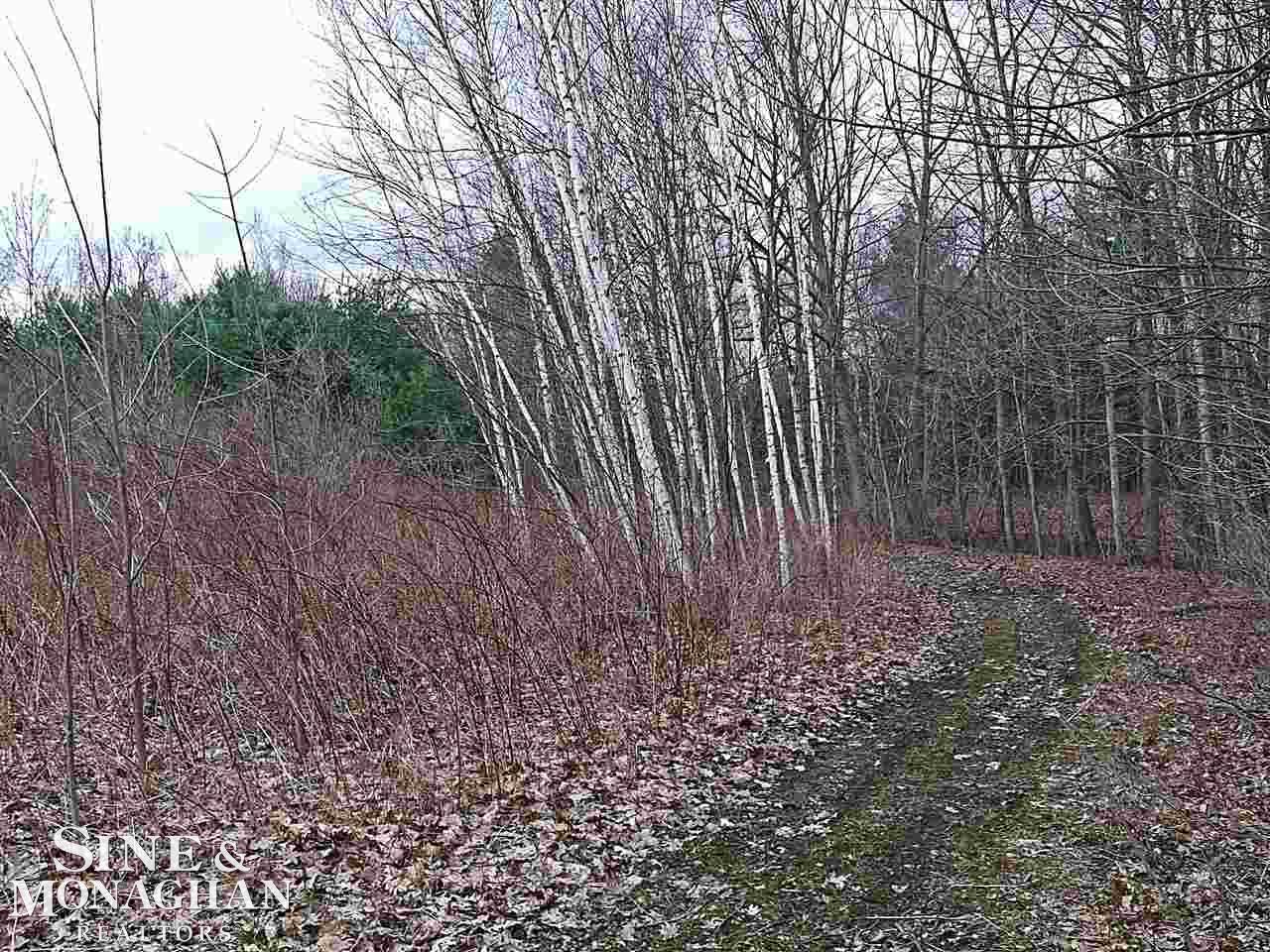 5267 Davis Road St. Clair, MI 48079 - Photo 5 of 42