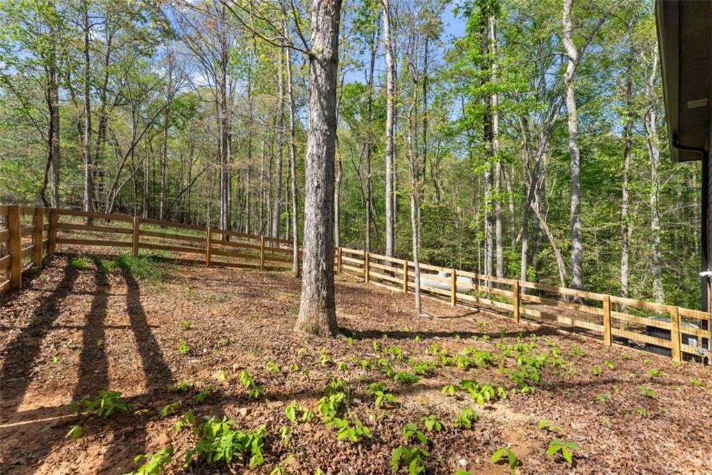 162 Hickory Ridge Drive Cleveland, GA 30528 - Photo 31 of 46