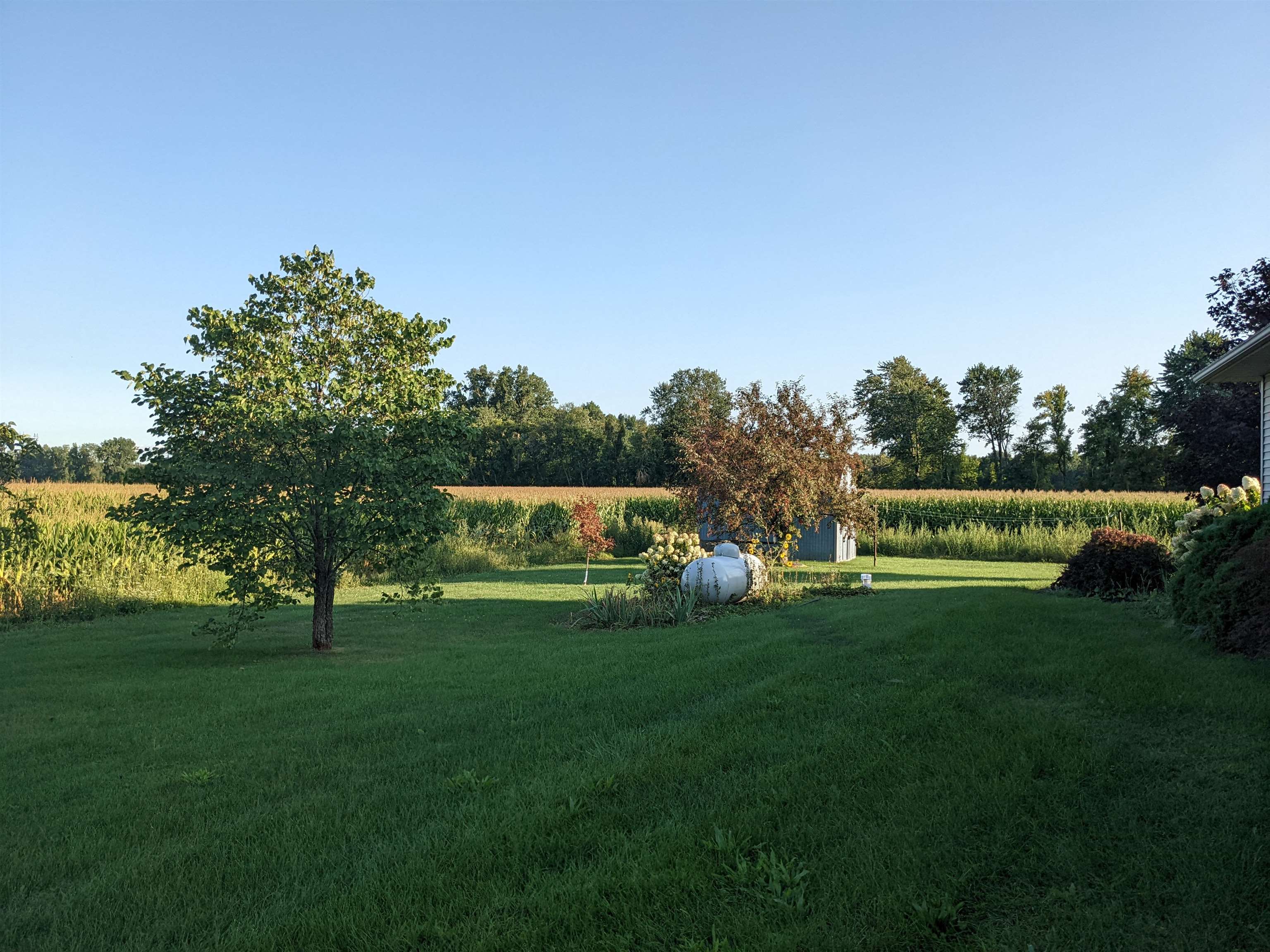 7655 Ormes Road Vassar, MI 48768 - Photo 16 of 16 Side Yard