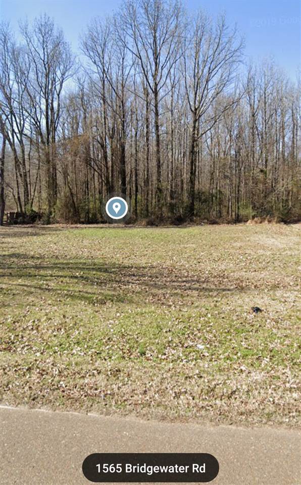 1565 Bridgewater Road Cordova, TN 38018 - Photo 1 of 1 Gallery Image 1