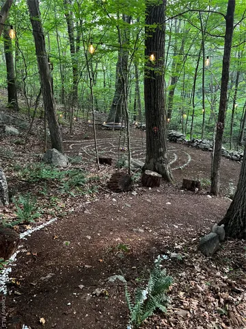 a view of backyard with tree