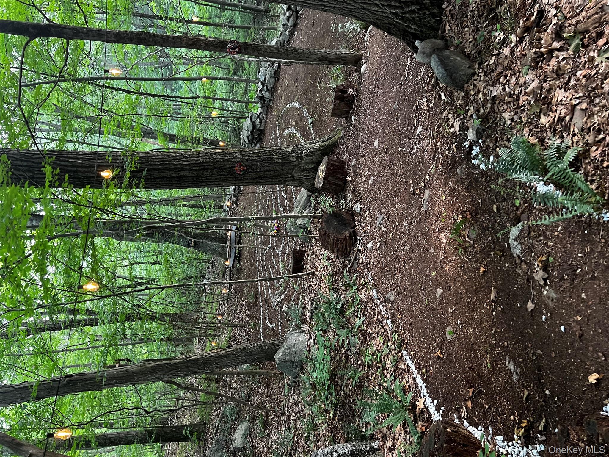 17 Birch Hill Road Putnam Valley, NY 10579 - Photo 19 of 24 a backyard of a house with lots of green space