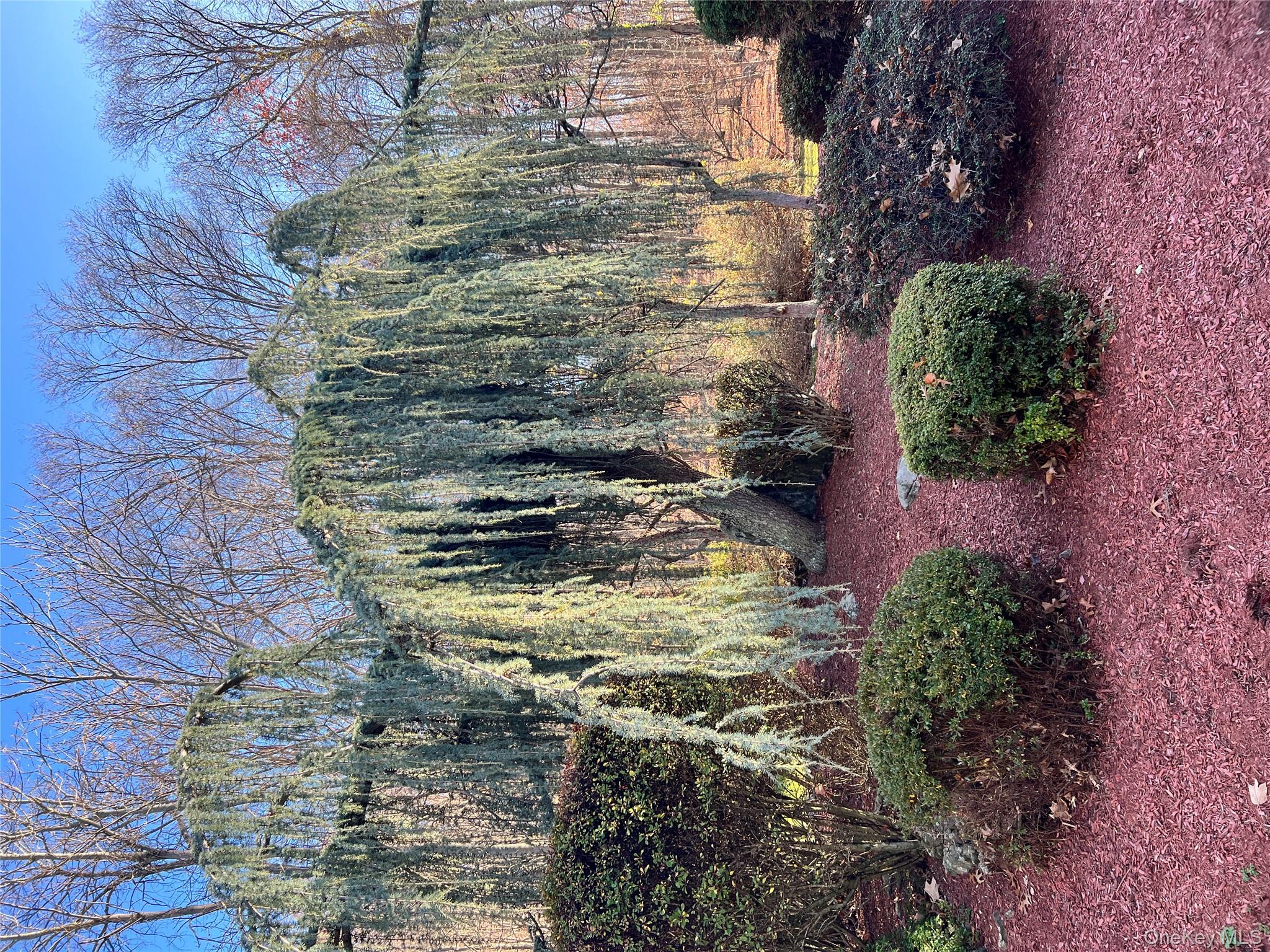 17 Birch Hill Road Putnam Valley, NY 10579 - Photo 20 of 24 a view of backyard with tree