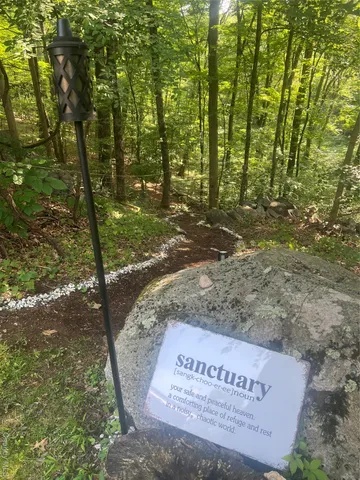 a view of a forest with trees