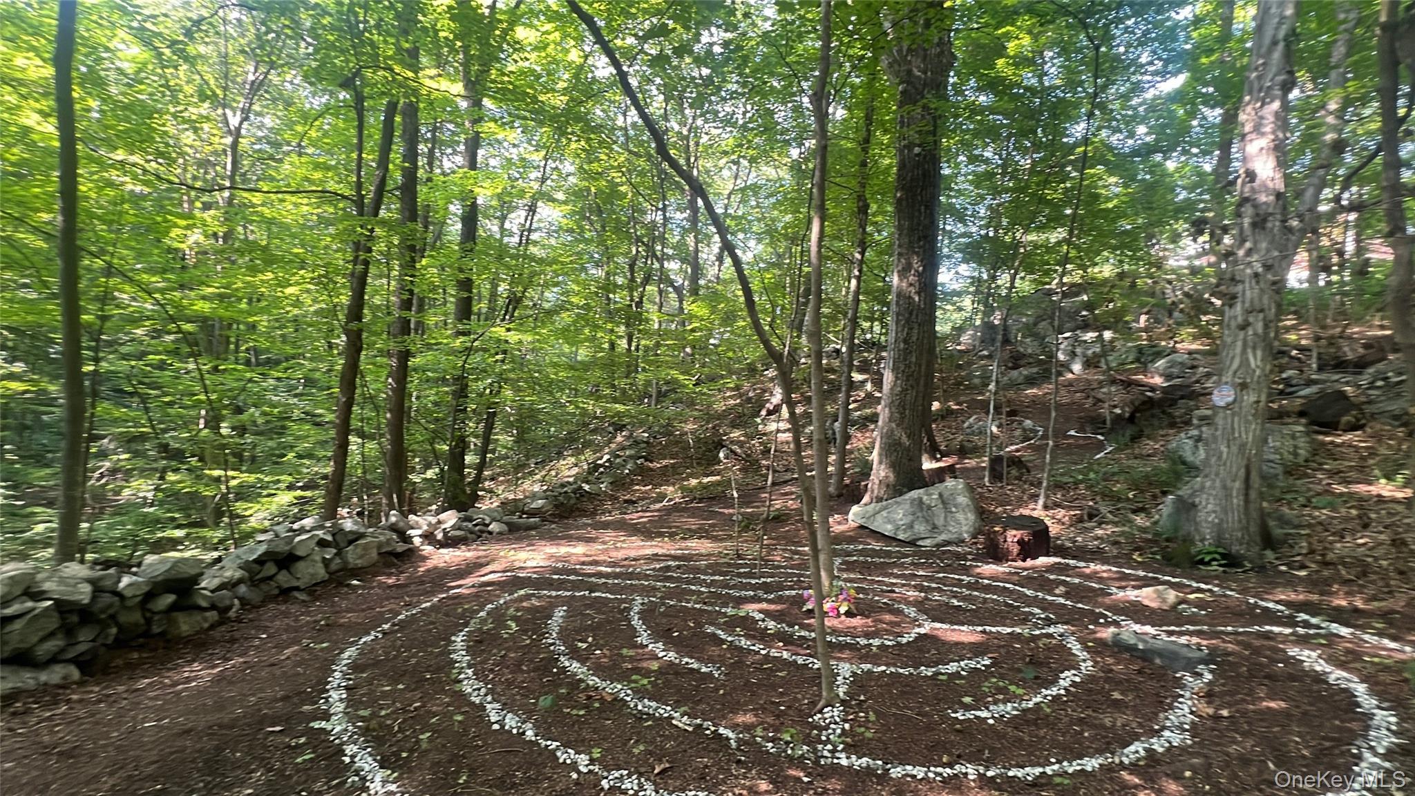 17 Birch Hill Road Putnam Valley, NY 10579 - Photo 22 of 24 a view of a forest with trees