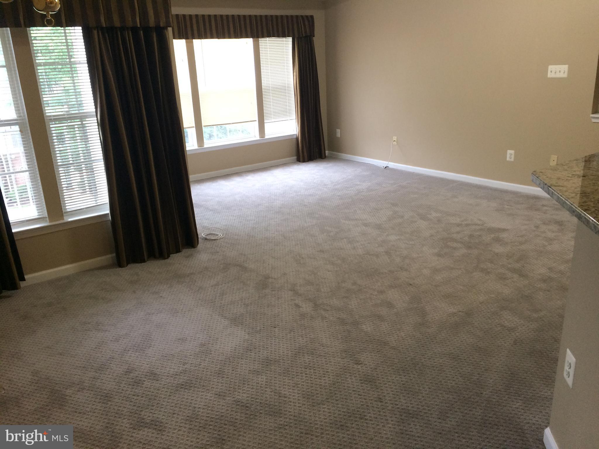 2054 Hunting Ridge Drive, Unit 2054 Owings Mills, MD 21117 - Photo 4 of 6 Living room /dining room combination