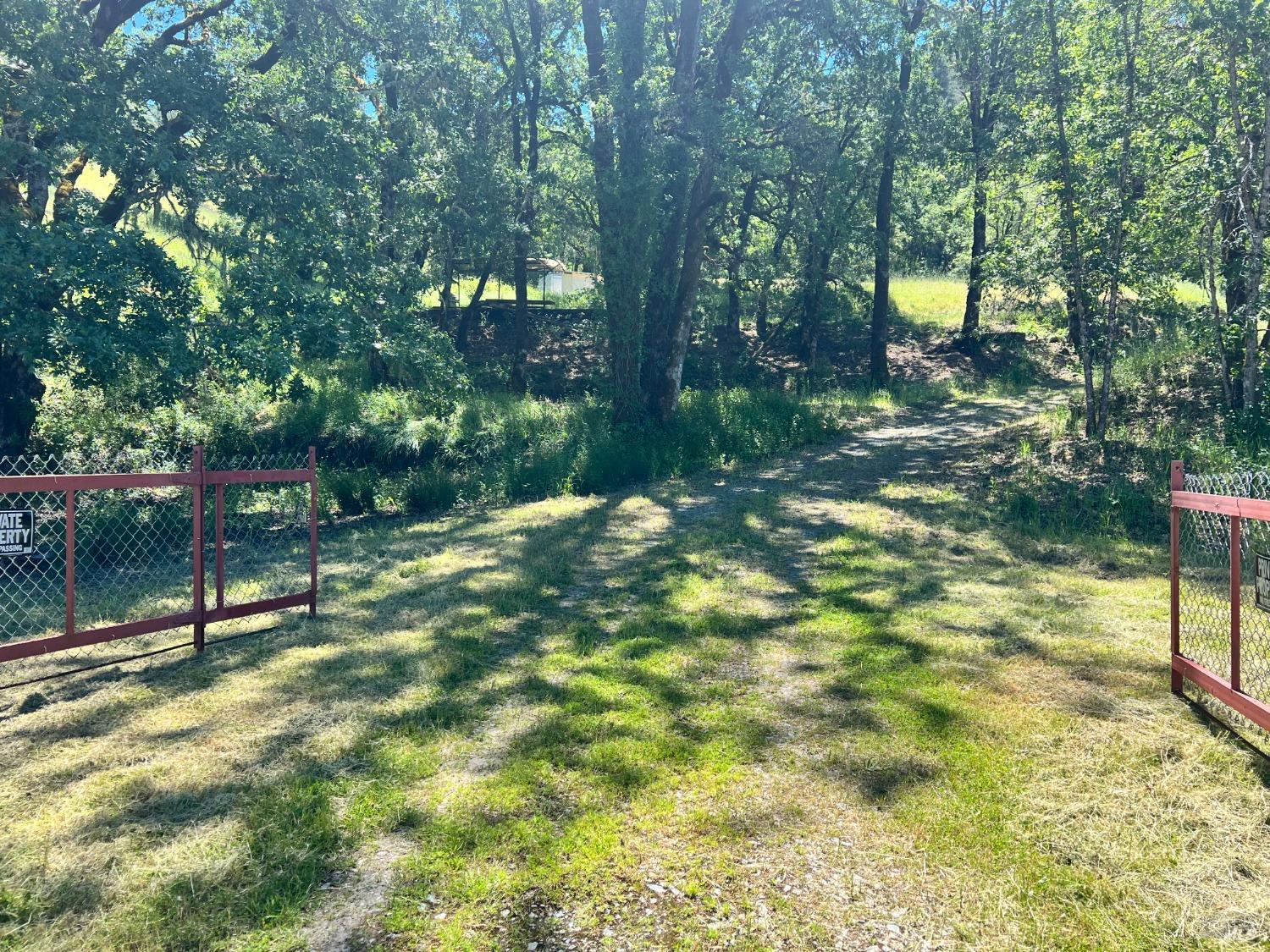 40750 Covelo Road Willits, CA 95490 - Photo 1 of 1 a backyard of a house with swimming pool and large trees