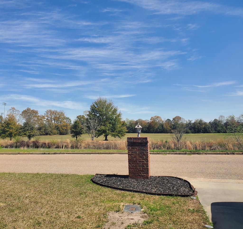 185 David Hussey Road Newton, AL 36352 - Photo 3 of 18