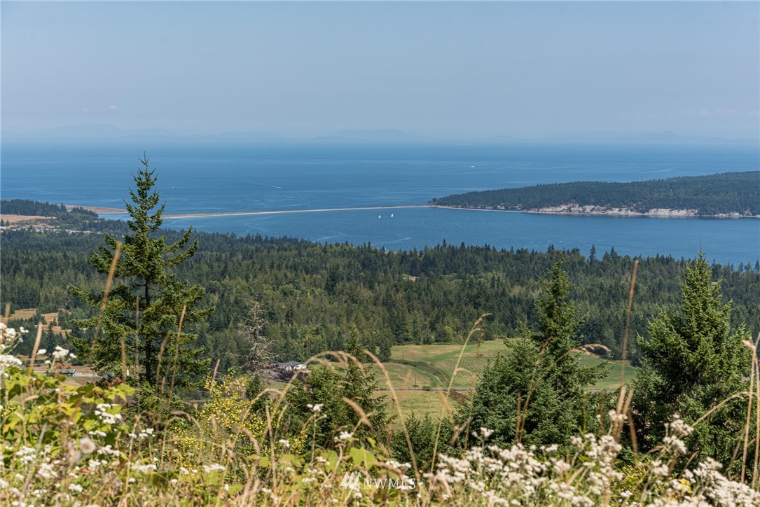 999 Louella Heights Road Sequim, WA 98382 - Photo 1 of 30 Gallery Image 1