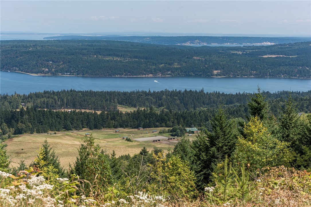 999 Louella Heights Road Sequim, WA 98382 - Photo 3 of 30 Gallery Image 3