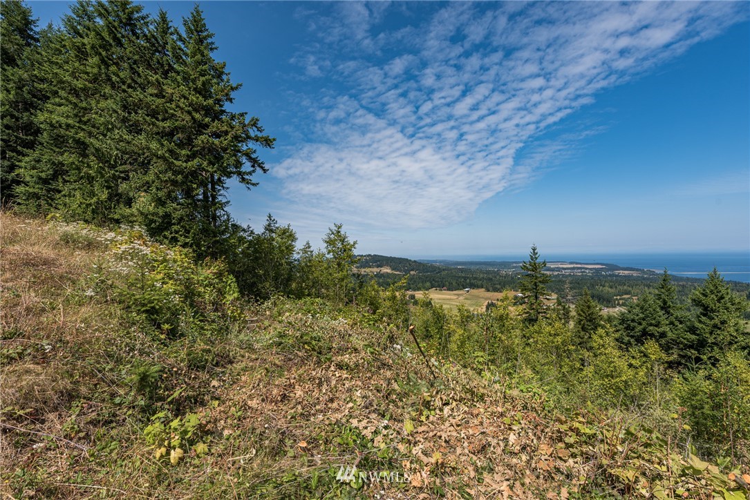 999 Louella Heights Road Sequim, WA 98382 - Photo 26 of 30 Gallery Image 26