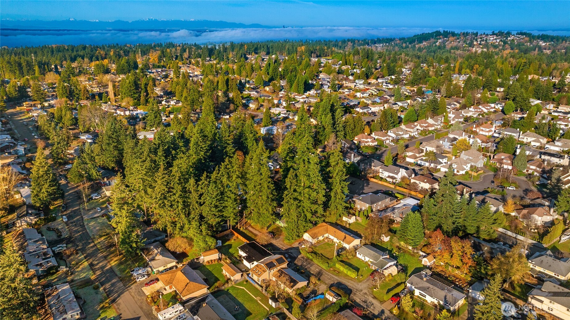 4515 Northeast 17th Place Renton, WA 98059 - Photo 33 of 34